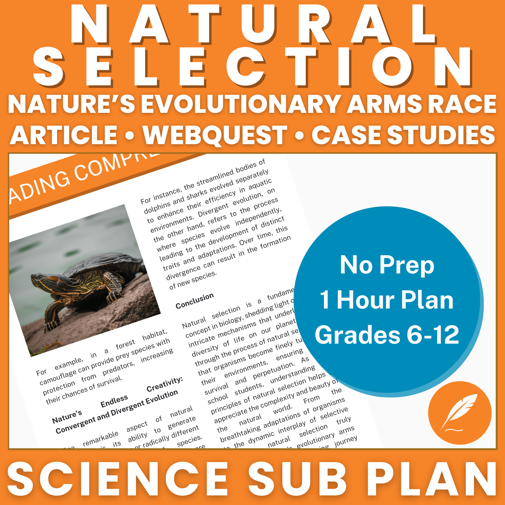 Natural Selection – Article – Thumbnails-min