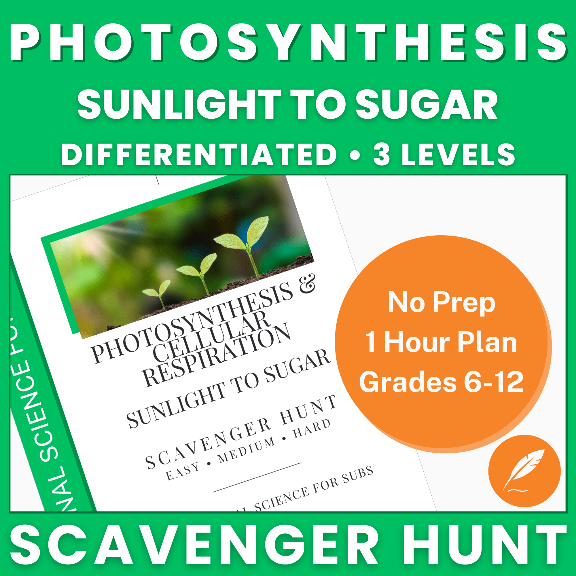 Photosynthesis & Cellular Respiration – Scavenger Hunt – Thumbnail